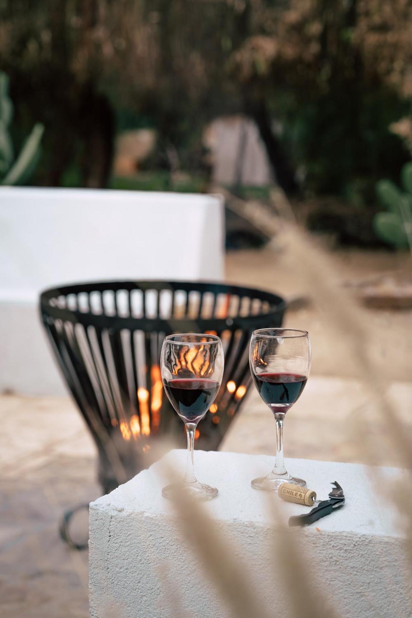 Aldea Del Valle - Elqui Villas, Pisco Elqui Exteriér fotografie