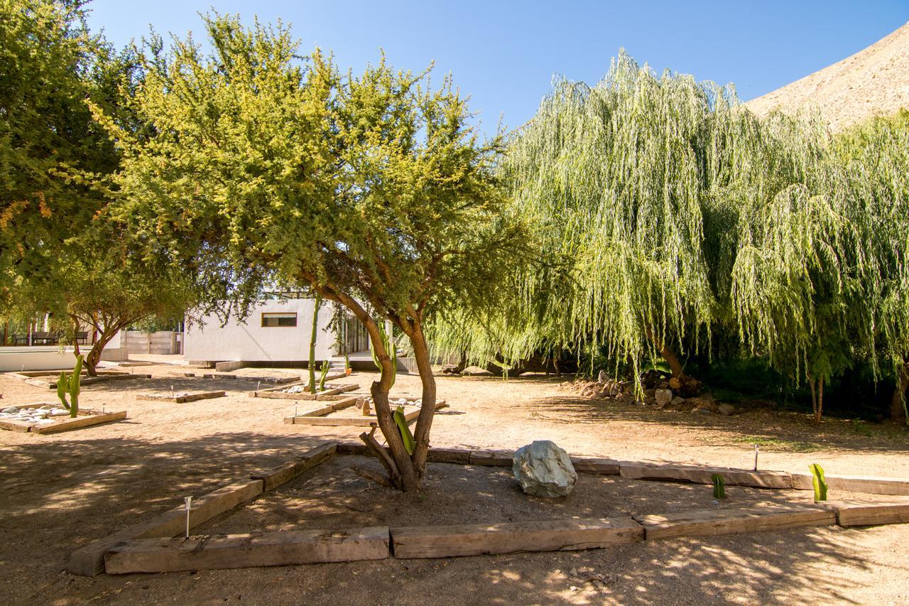 Aldea Del Valle - Elqui Villas, Pisco Elqui Exteriér fotografie
