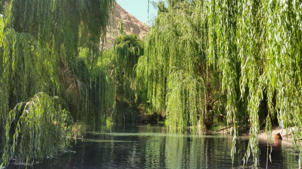 Aldea Del Valle - Elqui Villas, Pisco Elqui Exteriér fotografie